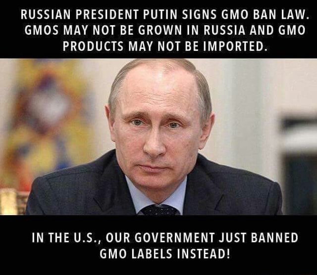 RUSSIAN PRESIDENT PUTIN SIGNS GMO BAN LAW. GMOS MAY NOT BE GROWN IN