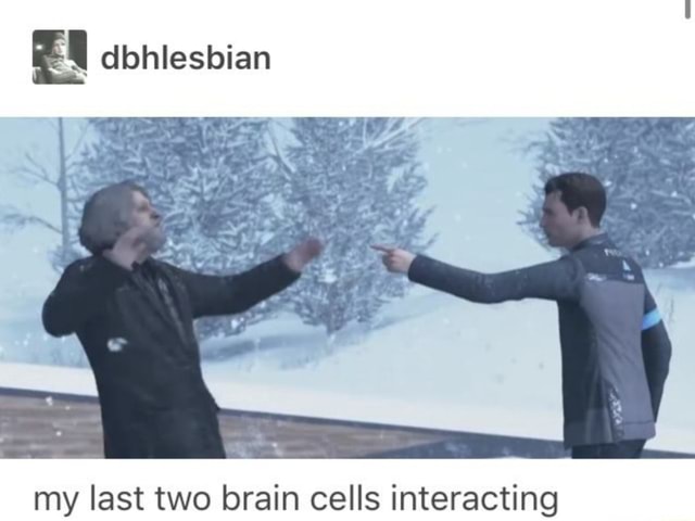 My last two brain cells interacting - iFunny