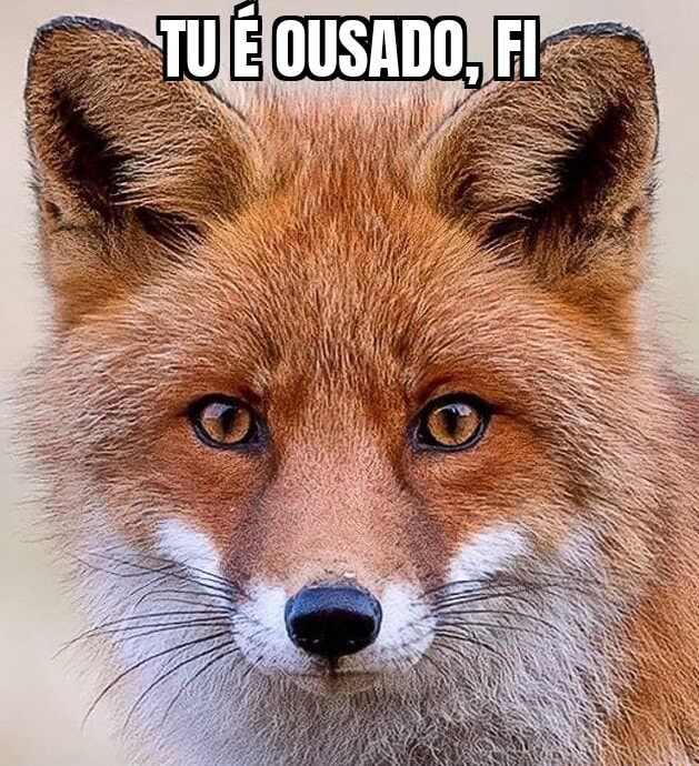 TU É OUSADO, FI - seo.title