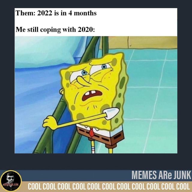 Them: 2022 is in 4 months Me still coping with 2020: MEMES ARe JUNK ...