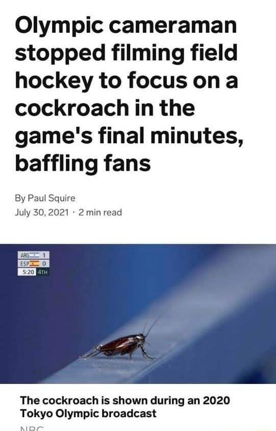 olympic cameraman cockroach olympic cameraman cockroach