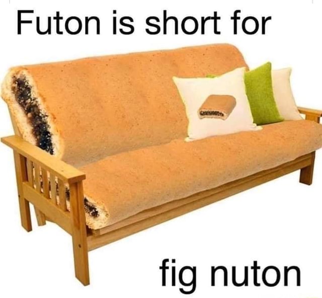 Futon is short for fig nuton iFunny