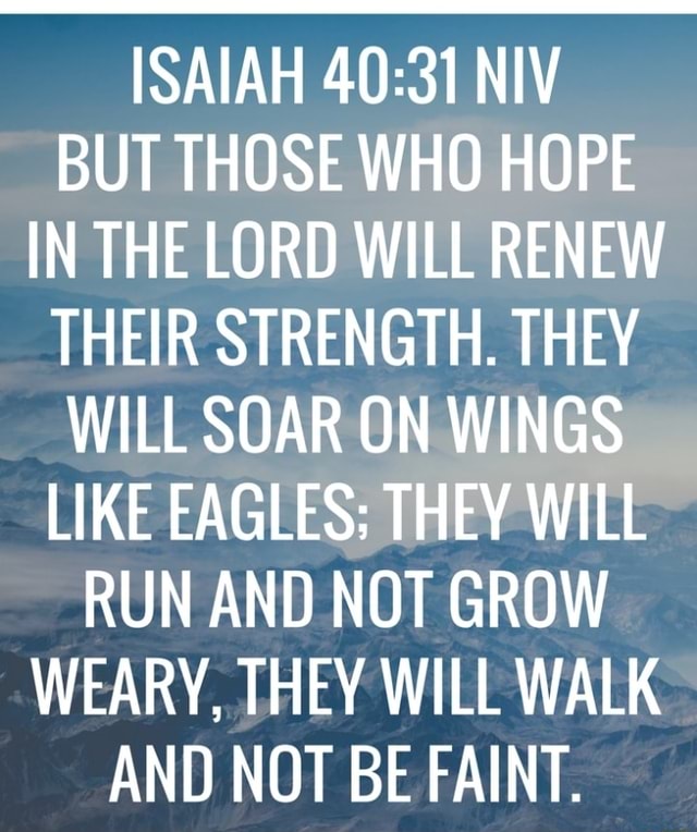 ISAIAH NIV BUT THOSE WHO HOPE IN THE LORD WILL RENEW THEIR STRENGTH ...