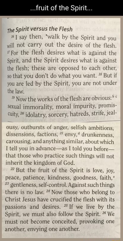 Fruit of the Spirit The Spirit versus the Flesh say then, *walk by the ...