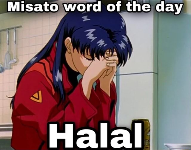 misato-word-of-the-day-halal-ifunny