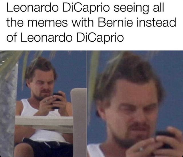 Leonardo DiCaprio seeing all the memes with Bernie instead of Leonardo ...