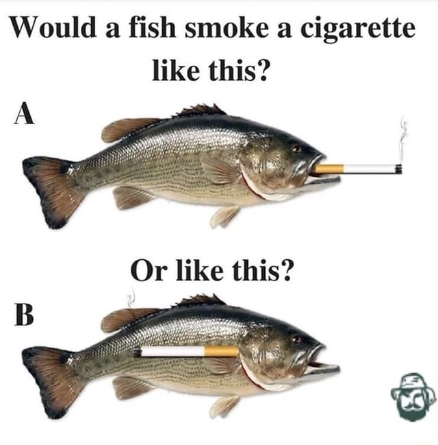 Would a ﬁsh smoke a cigarette like this?