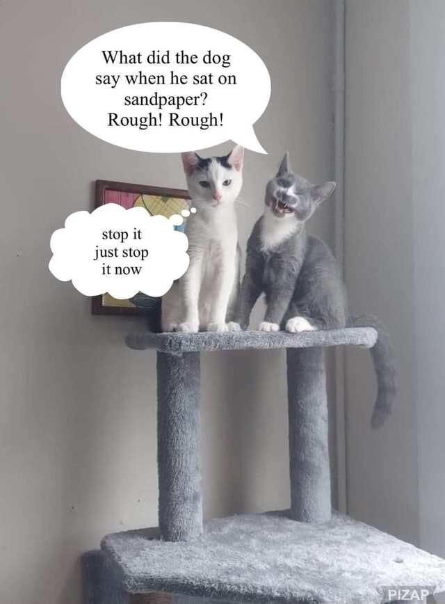 What did the dog say when he sat on sandpaper? Rough! Rough! stop it