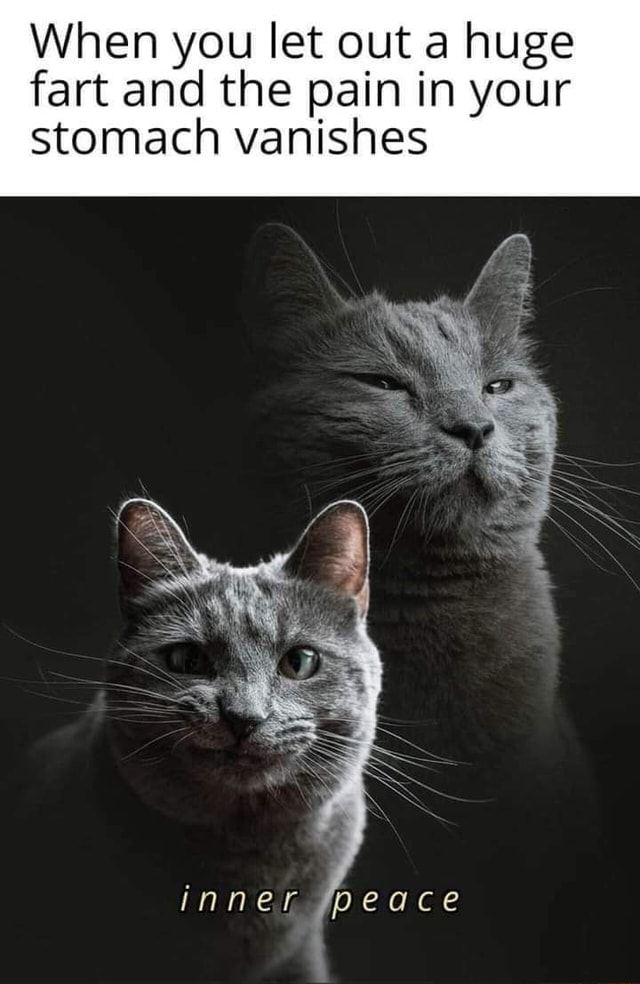 When you let out a huge fart and the pain in your stomach vanishes