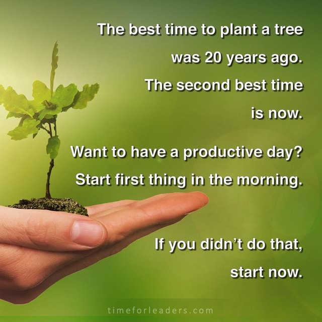 The best time to plant a tree was 20 years ago. The second best time is ...