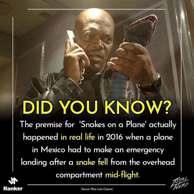 DID YOU KNOW? The premise for 'Snakes on a Plane' actually happened in