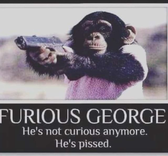 furious-george-he-s-not-curious-anymore-he-s-pissed-ifunny