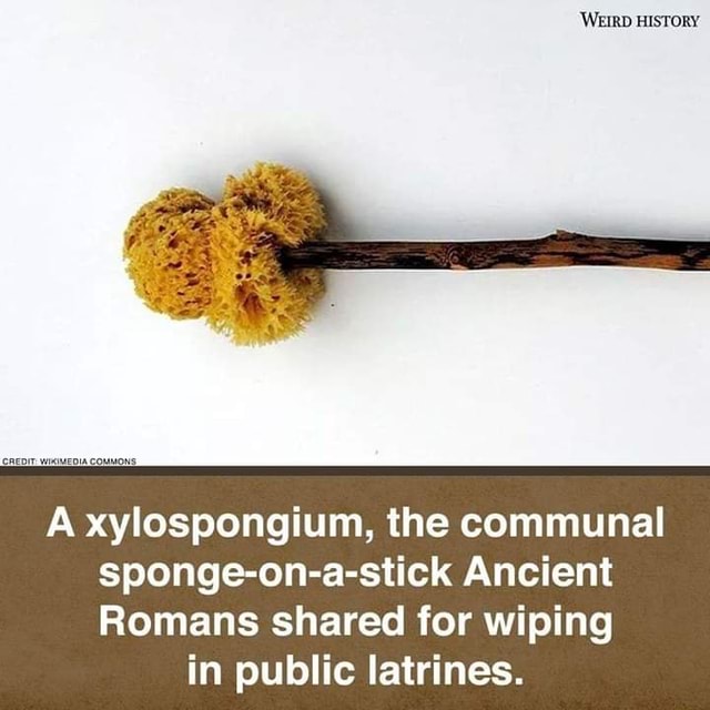 A xylospongium, the communal spongeonastick Ancient Romans shared