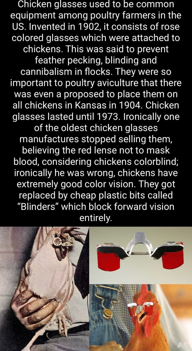 Chicken glasses used to be common equipment among poultry farmers in ...