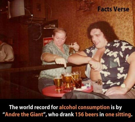 The World Record For Alcohol Consumption Is By Andre The Giant Who Drank156 Beers In One Sitting