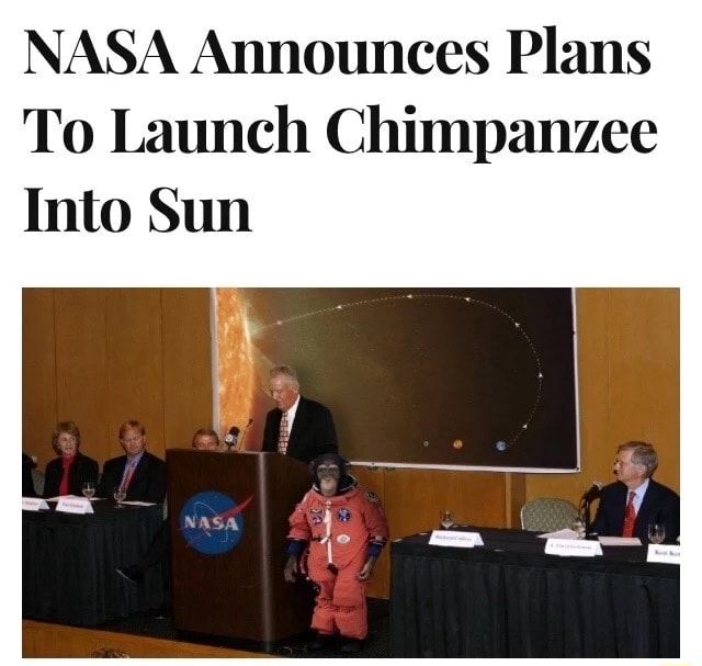 Nasa Announces Plans To Launch Chimpanzee Into Sun