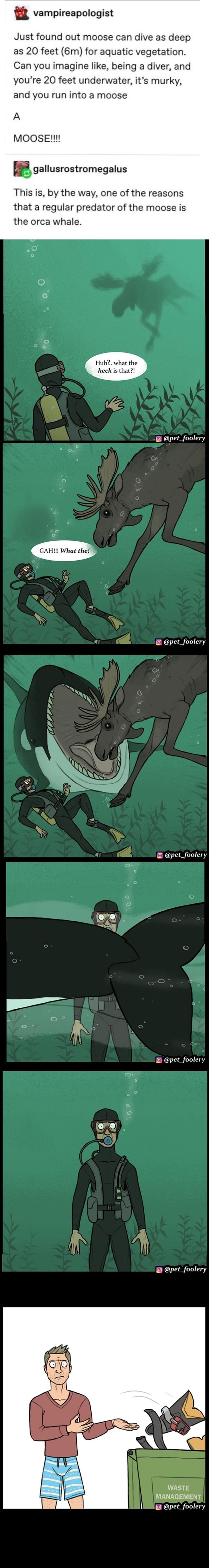 Just found out moose can dive as deep as 20 feet (6m) for aquatic