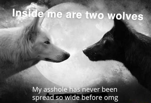 Two wolves asshole has never been sprez so fide before omg - iFunny