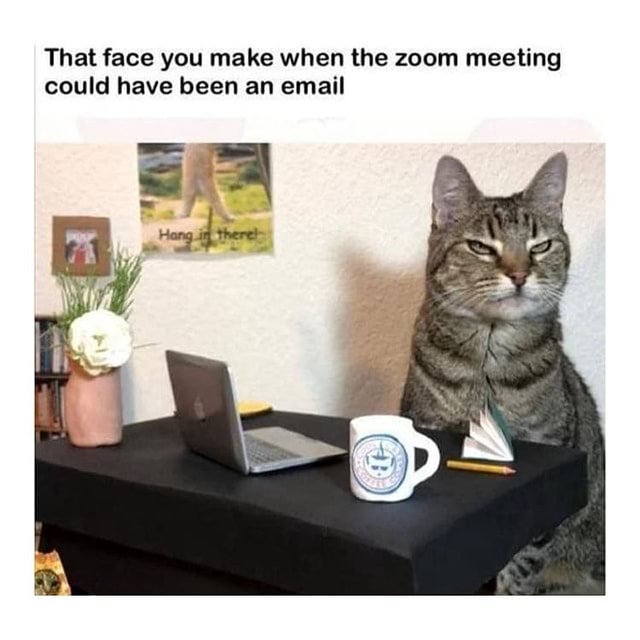 That Face You Make When The Zoom Meeting Could Have Been An Email Whlsm