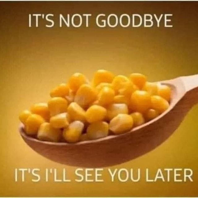 IT'S NOT GOODBYE IT'S SEE YOU LATER - iFunny