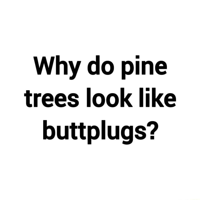 Why do pine trees look like buttplugs? iFunny Brazil