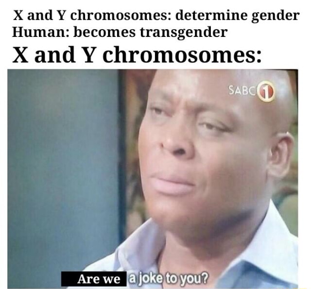 x-and-y-chromosomes-determine-gender-human-becomes-transgender-x-and