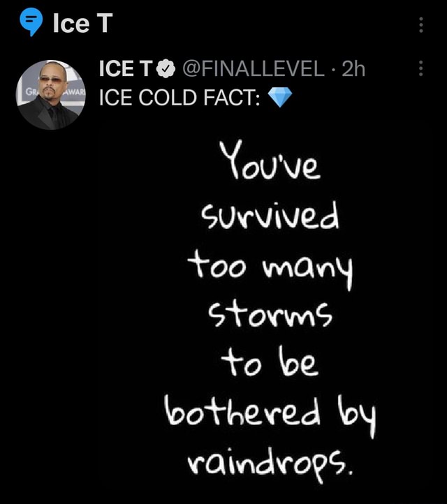 9 Ice T ICE T FINALLEVEL ICE COLD FACT You've SUING +oo many