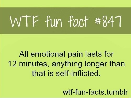 Aii Emotional Pain Lasts For 12 Minutes Anything Longer Than That Is Self Inflicted Wtf Fun Facts Tumbir