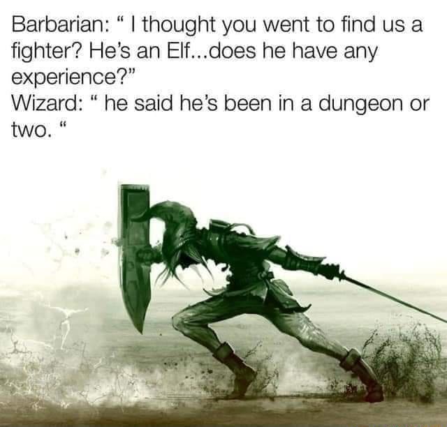 Elves are amazing fighters Barbarian I thought you went to find us a