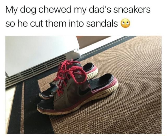 My dog chewed my dad's sneakers so he cut them into sandals g.) )