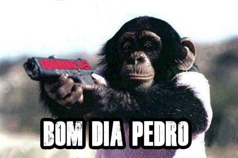 Bom dia Pedro - BOM DIA! PEDRO - iFunny Brazil Bom dia Pedro - BOM DIA! PEDRO - iFunny Brazil