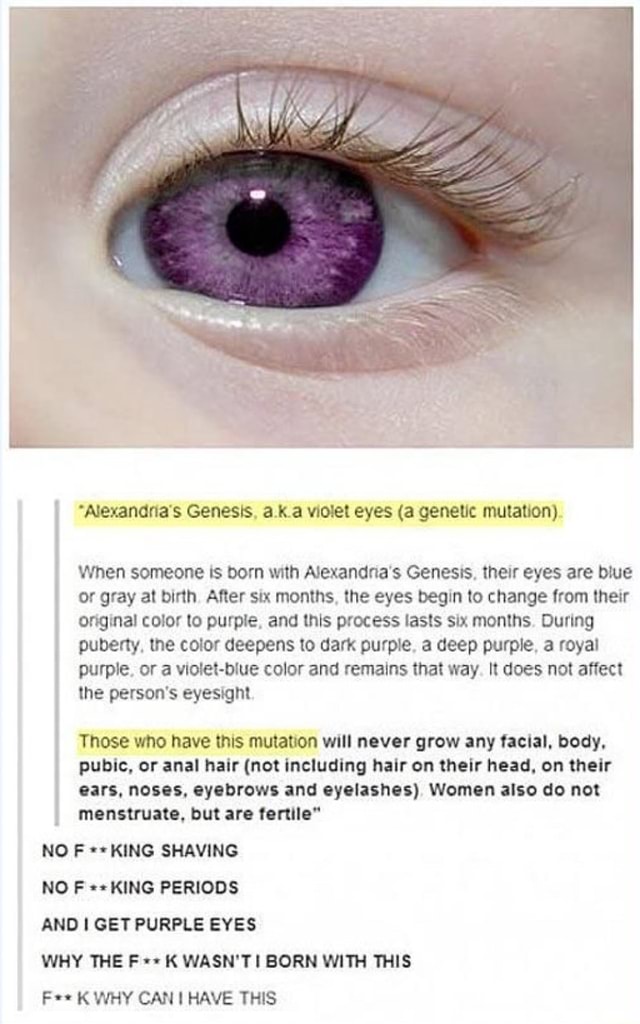 "Alexandria's Genesis, a.k.a violet eyes (a mutation) When