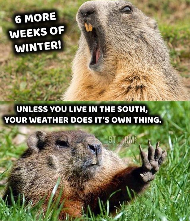 6 MORE WEEKS OF WINTER! UNLESS YOU LIVE IN THE SOUTH, YOUR WEATHER DOES