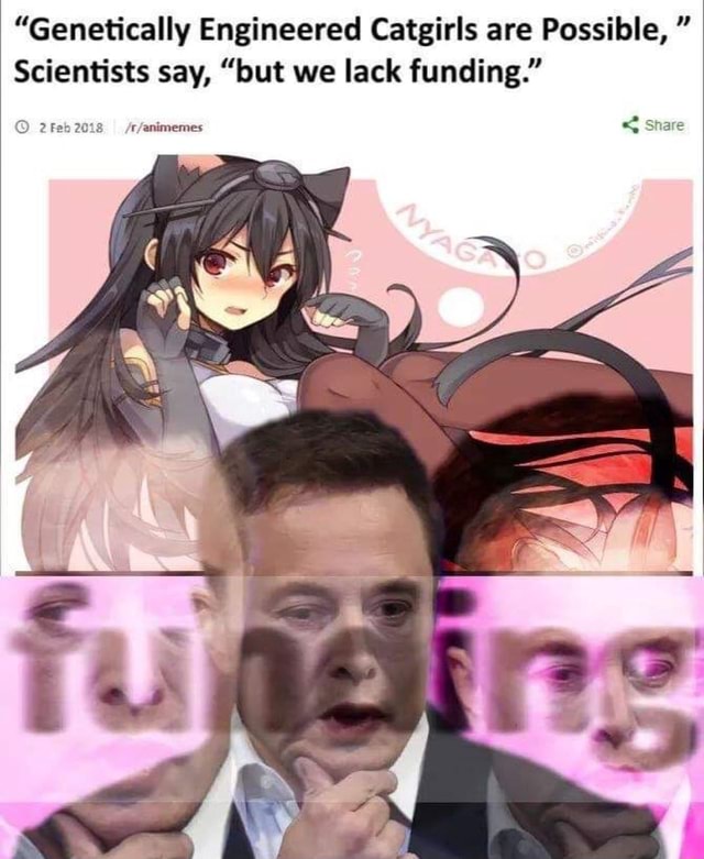 Engineered Catgirls are Possible, " Scientists say, “but