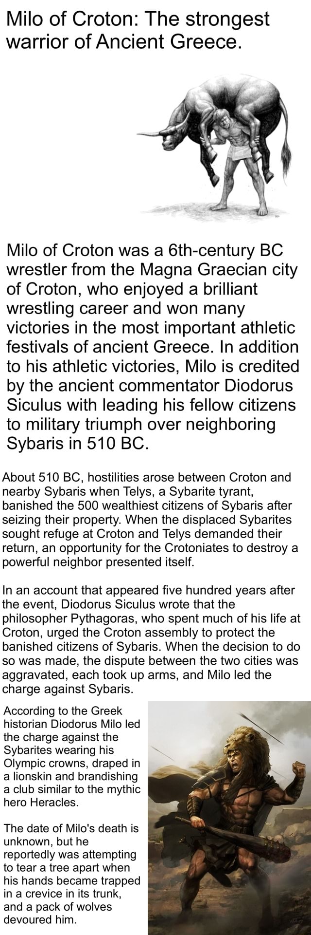 Milo of Croton The strongest warrior of Ancient Greece. Milo of Croton