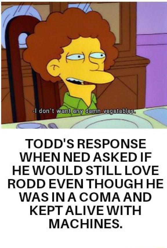 Todd Rodd TODD'S RESPONSE WHEN NED ASKED IF HEWOULD STILL LOVE RODD EVEN THOUGH ...