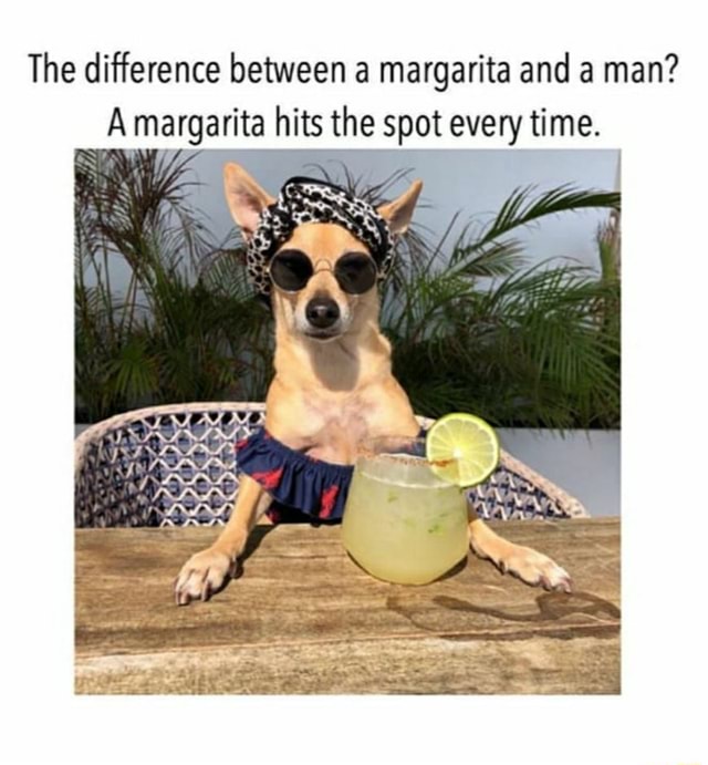 The difference between a margarita and a man? A margarita hits the spot