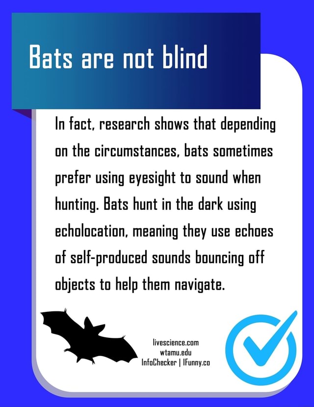 In fact, research shows that depending on the circumstances, bats