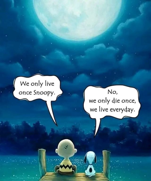 We only live Snoopy. No, we only die once, we live everyday. - iFunny - Charlie Brown And Snoopy You Only Live Once