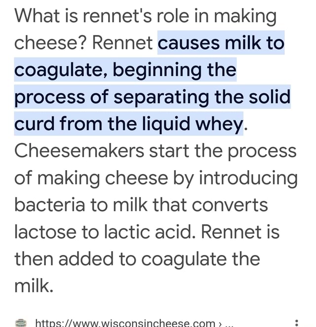 What is role in making cheese? causes milk to coagulate