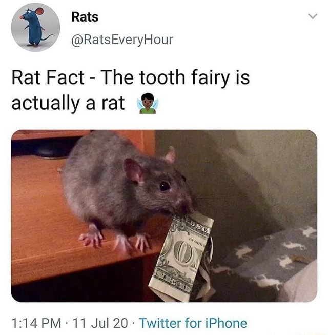 toothfairy movie about mice