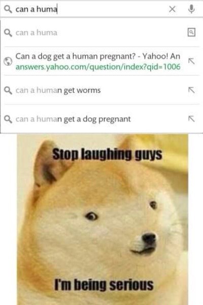 can a dog get a human pregnant