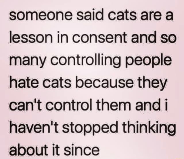 Someone said cats are a lesson in consent and so many controlling ...