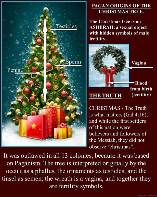 pagan-origins-of-the-christmas-tree-the-christmas-tree-is-an-asherah