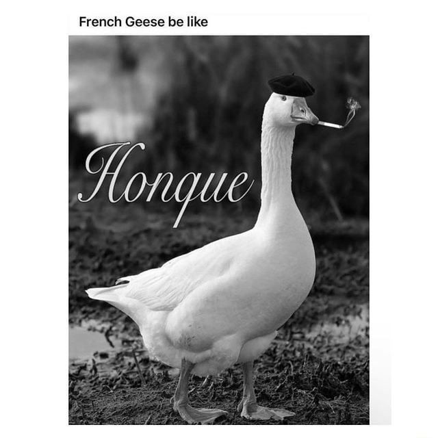 French Geese be like iFunny