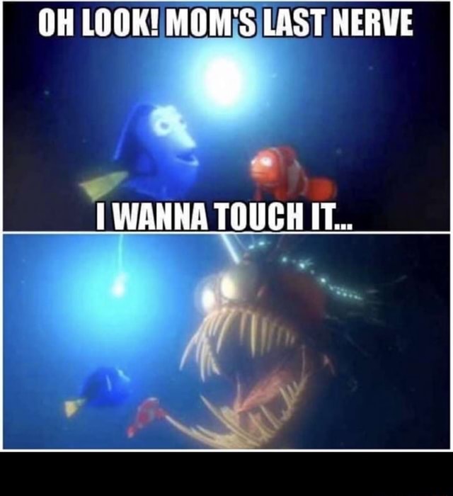 OH LOOK! MOMIS LAST NERVE I WANNA TOUCH IT... - - iFunny