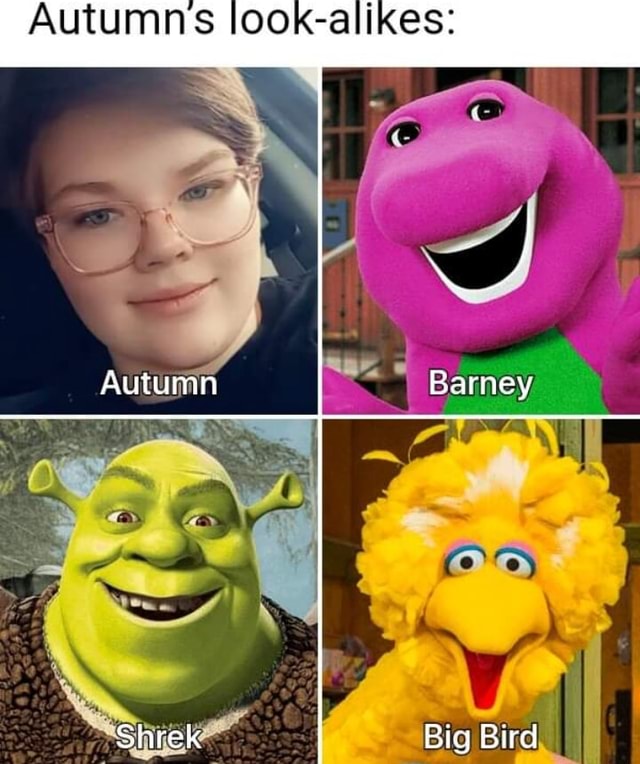 Autumn Barney Shrek Big Bird - iFunny