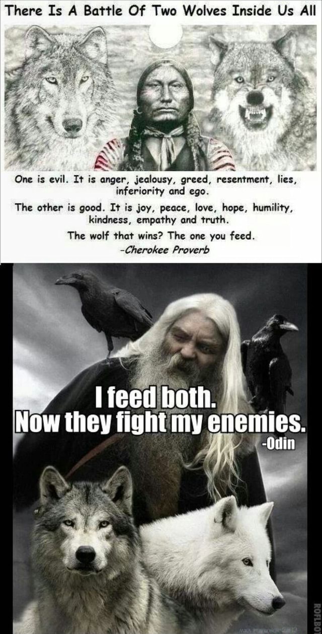 There Is A Battle Of Two Wolves Inside Us All One is evil. It is anger ...