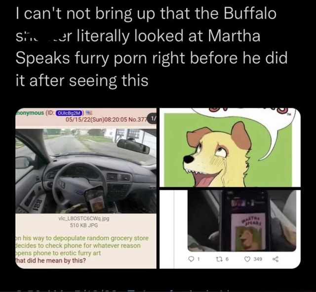 Martha Speaks Dog Porn - I can't not bring up that the Buffalo .ur literally looked at Martha Speaks  furry porn right before he did it after seeing this to depopulate ranconn  store llacicles to check alone