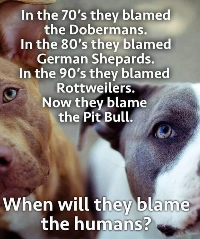 In the 70's they blamed the Dobermans. In the 80's they blamed German
